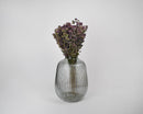 Bulk dried oregano flowers bunch with purple and green hues in a ribbed glass vase.