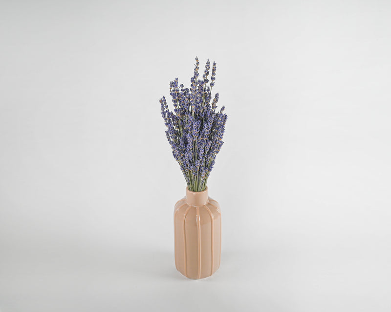Super Blue Royal Velvet Lavender Bunch | 20 Bunches | Super Blue