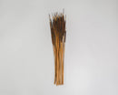 Bundle of dried natural pencil cattails in brown, wholesale bulk arrangement on white background.