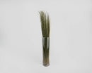 Tall bunch of natural dried dune grass in a clear glass vase, bulk wholesale display.