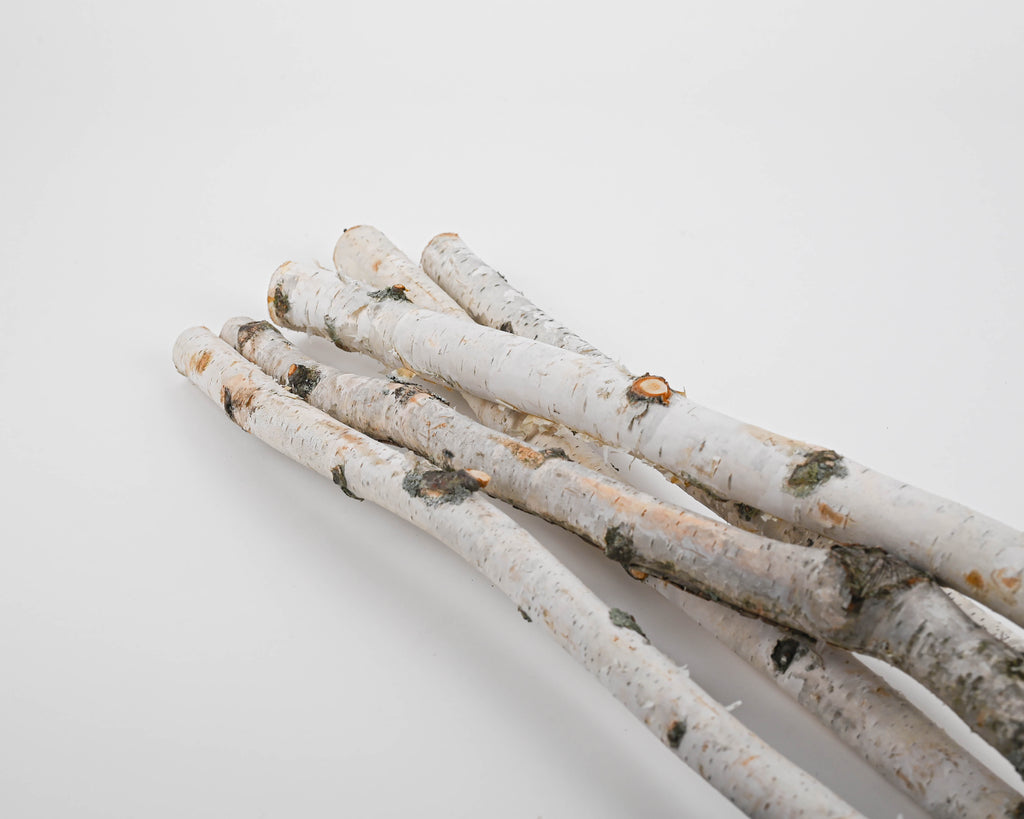 White Birch Poles For Sale - Decorative Birch Poles