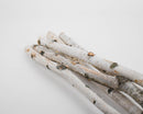 Bundle of natural dried white birch poles with rough bark, sold wholesale in bulk cases.