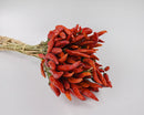 A bunch of dried red chili peppers against a white background.