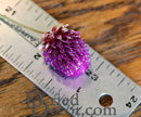 Single dried purple globe amaranth flower head on wooden surface with ruler for size reference.