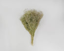 Bulk dried natural Baby's Breath bunches with delicate white flowers, wholesale bouquet set.