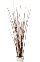 Bundle of 4-5' tall dried Asian willow branches in natural brown, wholesale bulk set.