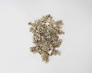 Natural dried preserved reindeer moss in bulk with a light tan color on white background.