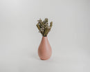 Dried natural silver brunia bunches in a matte pink ceramic vase, bulk wholesale arrangement.