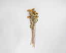 Medium bunch of dried natural sunflowers with yellow petals and light green stems, wholesale bulk pack of 15.