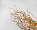 Light brown dried curly willow branches with long stems arranged in bulk wholesale bunches.