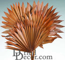 Dried natural palm leaves in warm spice color, wholesale bulk bunch with sharp, fan-shaped foliage.
