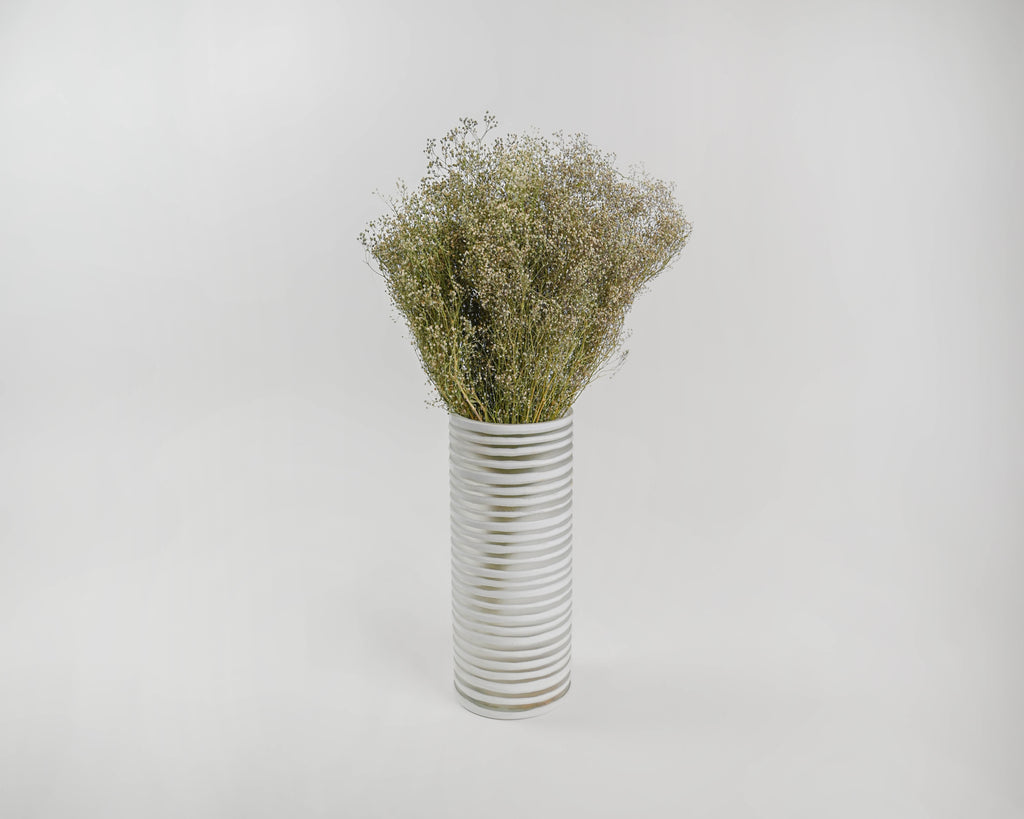 Dried Babys Breath - Dried Gypsophila