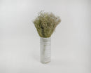 Bulk dried natural white baby's breath flowers in striped ceramic vase.