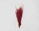 Bulk bundle of dried natural sweet huck branches in vivid fire red, wholesale case of 12.