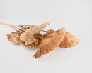 A collection of dried sponge mushrooms with stems, displayed on a white background.