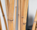 Dried natural river cane bamboo sticks in bulk, light tan with visible nodes and texture.