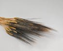 Bulk natural dried Blackbeard wheat bunches with long, dark-tipped stalks on a neutral background.