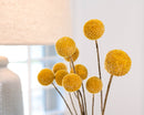 Natural dried yellow Craspedia (Billy Balls) flowers in bulk with round textured blooms.