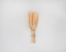 Bundle of dried natural wheat stalks tied with twine for wholesale bulk decor.