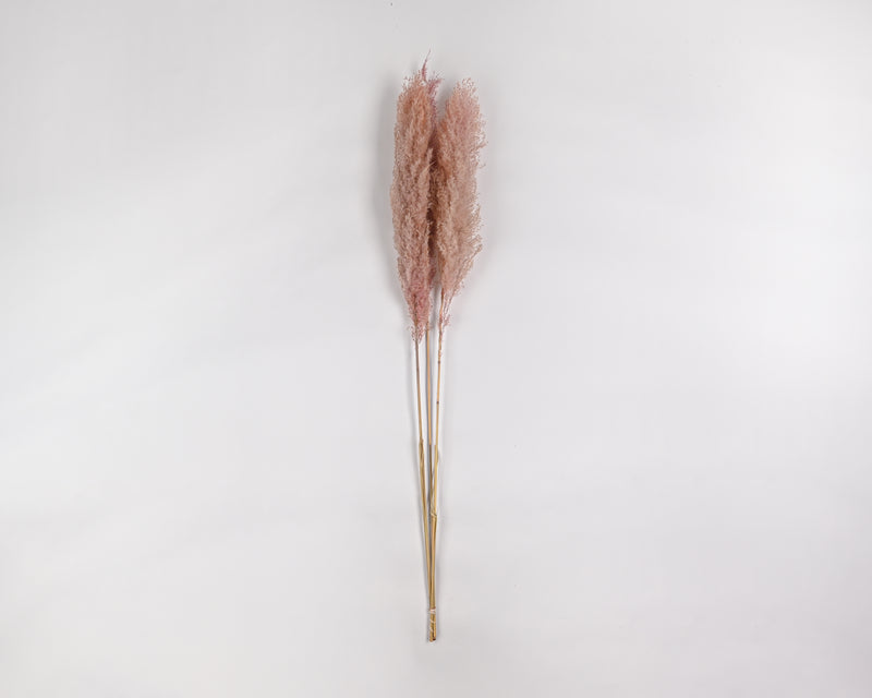 Dried Pampas Grass Pink Color Single Bunch   Long Stem