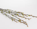 A case of artificial pussy willow branches with gray stems and beige budding leaves.