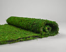 Roll of natural dried green moss mat, bulk wholesale case of six bags.