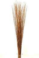 A bundle of dried, honey-colored Asian willow branches arranged vertically in a clear vase against a white background.