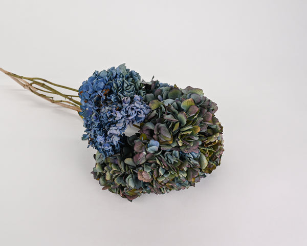 Dried Hydrangea Flower Bunch - Blue Color
