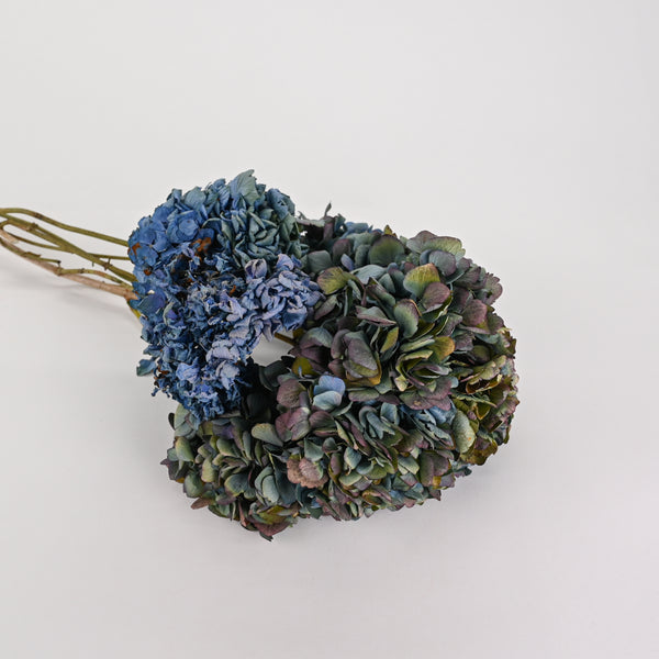 Dried Hydrangea Flower Bunch - Blue Color