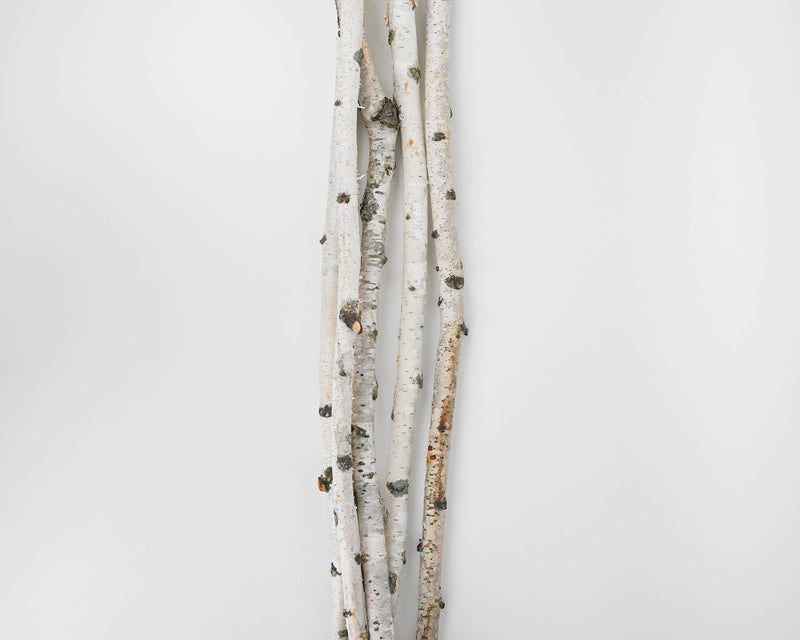 4 Wood Stick, Birch Branches, Birch Logs, Birch Sticks, White