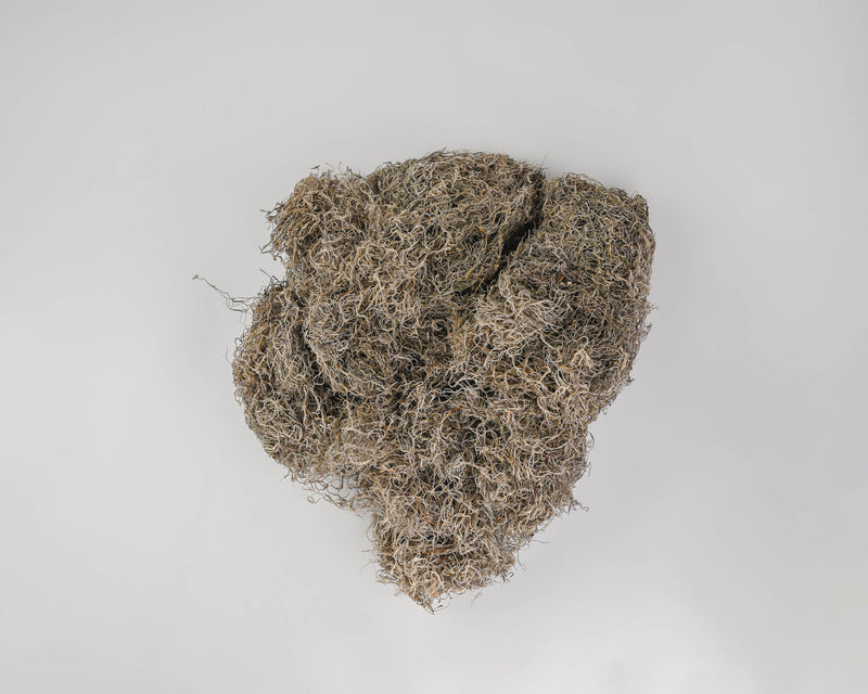 Dried Spanish Moss | Color Options Available