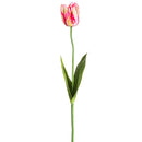 25" dried pink cream parrot tulip spray with natural green leaves wholesale bulk pack.