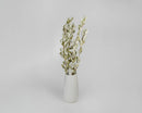Natural dried Integrifolia branches in light green, arranged in a white vase, bulk wholesale style.