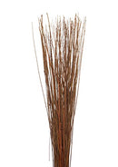 A bundle of naturally dried brown Asian willow branches.