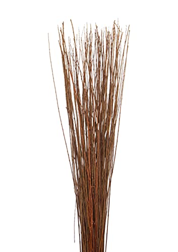4-5' Tall Asian Willow - Brown