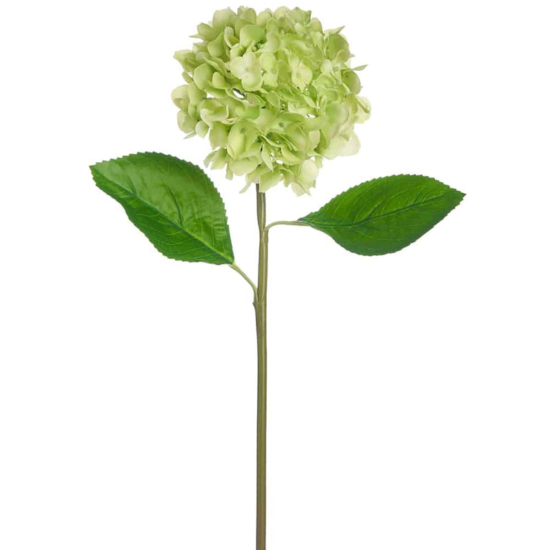 21.5" Real Touch Hydrangea Spray Lime (12 stems)