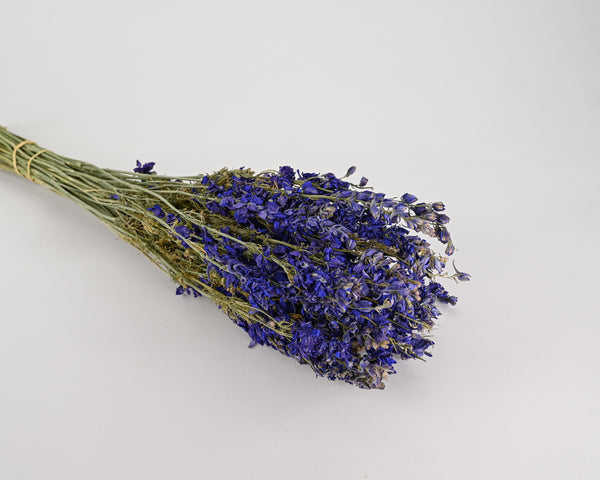 Large Dried Flower Bouquet - Blue Bunch Top Diameter 11-12in. Stem Length  22-24in. -- Single Bunch 