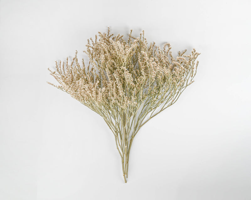 Bulk German Statice - White Tataricum