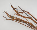 Bulk dried natural brown Japanese fantail willow branches with curly texture.