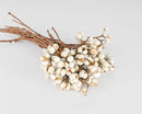 Bundle of dried natural white tallow berries with short brown stems, wholesale bulk case of 12.