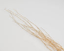 Bulk dried natural birch branches with gold paint, wholesale decorative twigs bundle.