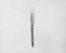 Bundle of natural brown dried birch branches with thin stems, wholesale bulk set.