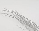 Bulk bundle of natural dried birch branches painted metallic silver.
