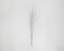 Silver glittered dried birch branches bundled naturally for wholesale bulk decor.
