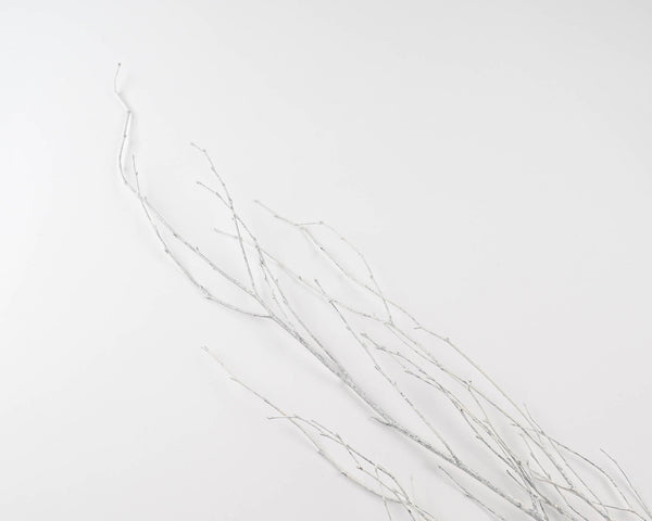 White Painted Birch Branches