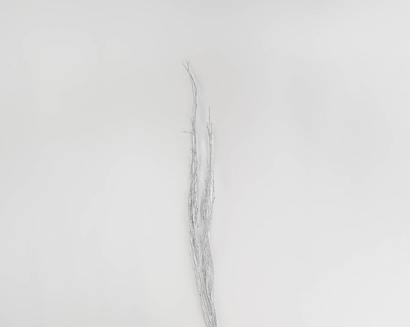 Glittered Birch Branches | 12 Bunches | White