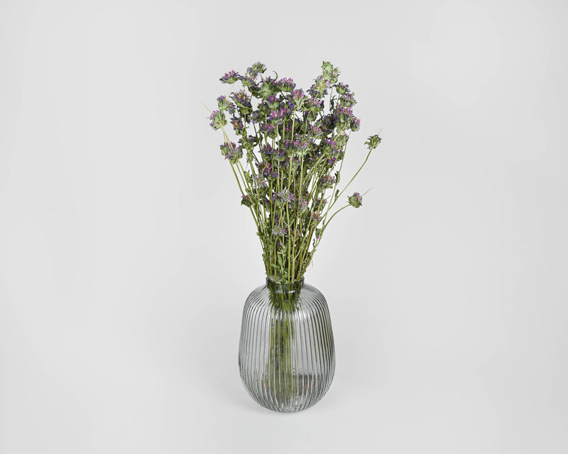 Dried Lemon Mint Flower Bouquet | 15 Bouquets | Purple