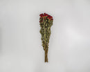 Bundle of dried red roses tied with natural twine, wholesale bulk bouquet.