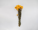Natural dried yellow strawflowers bouquet with stems tied, bulk wholesale arrangement.