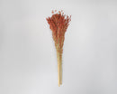 Bulk dried red broom corn bunch with natural textured seed heads, ideal for wholesale decor.